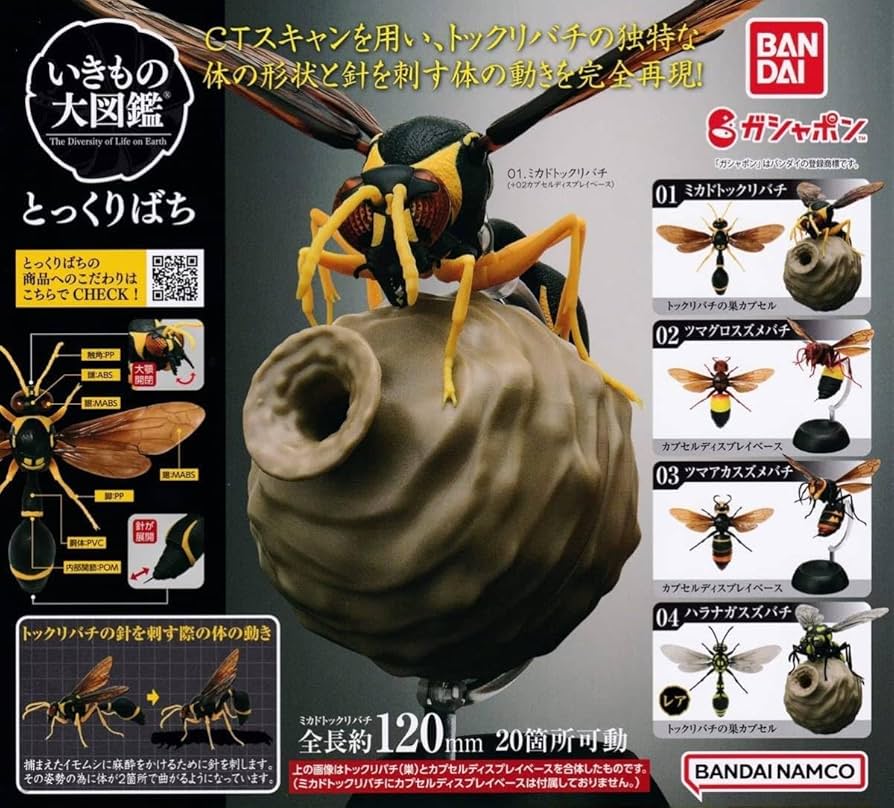 クリオネラスカル Amazon.co.jp: Ikimono Encyclopedia Tokkurabachi 3 Types Set